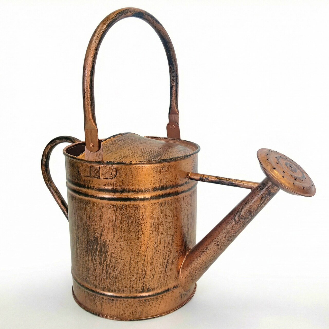 Gardenised 1 Gallon Galvanized Metal Watering Can with Removable Long Spout & Sprinkler Head for Indoor & Outdoor Use Ideal for Garden Flowers Potted Plants Houseplants Modern Home Accessories